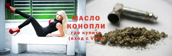 ешки Инта