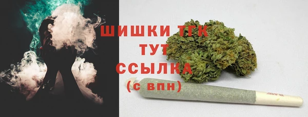 ешки Инта