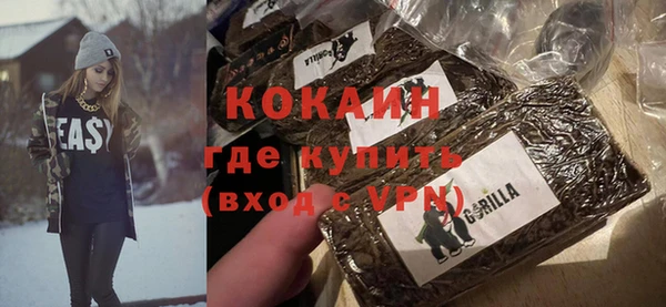 ешки Инта