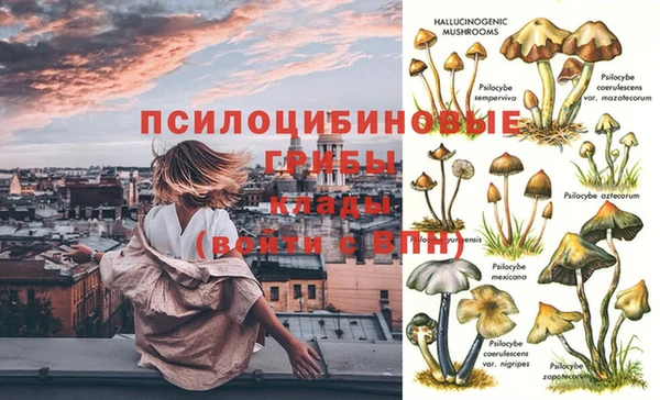 ешки Каменск-Шахтинский