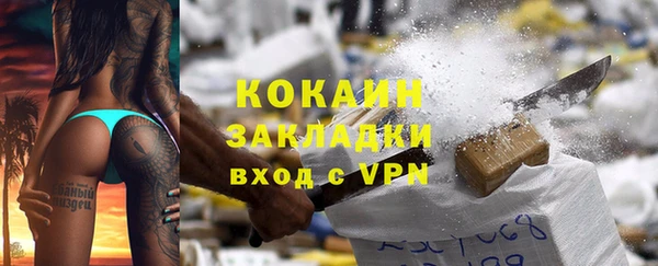 ешки Инта