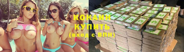 ешки Инта