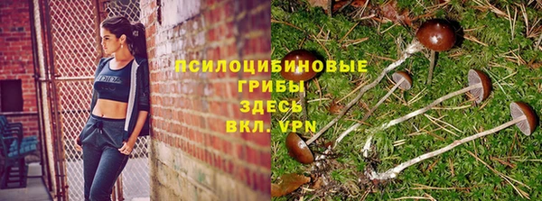 jwh Инсар