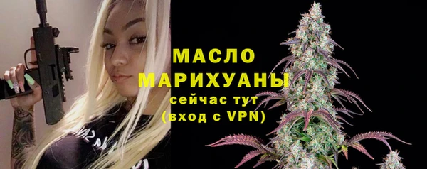 ешки Инта