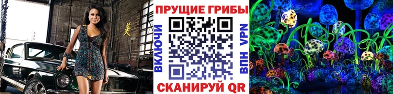 Купить закладки  Нолинск  Псилоцибиновые грибы Cubensis 