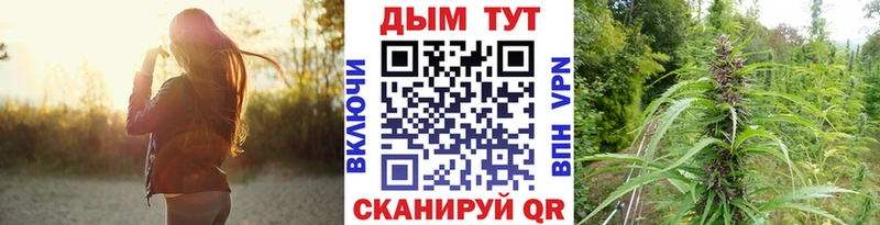 Купить закладки  Нолинск  Шишки марихуана Ganja 